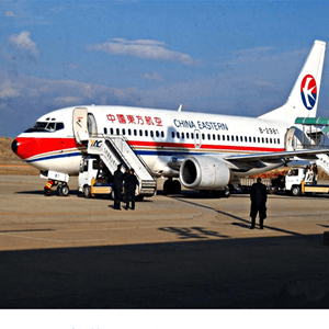 株洲芦淞空运公司航空快运业稳步发展的原因是什么？